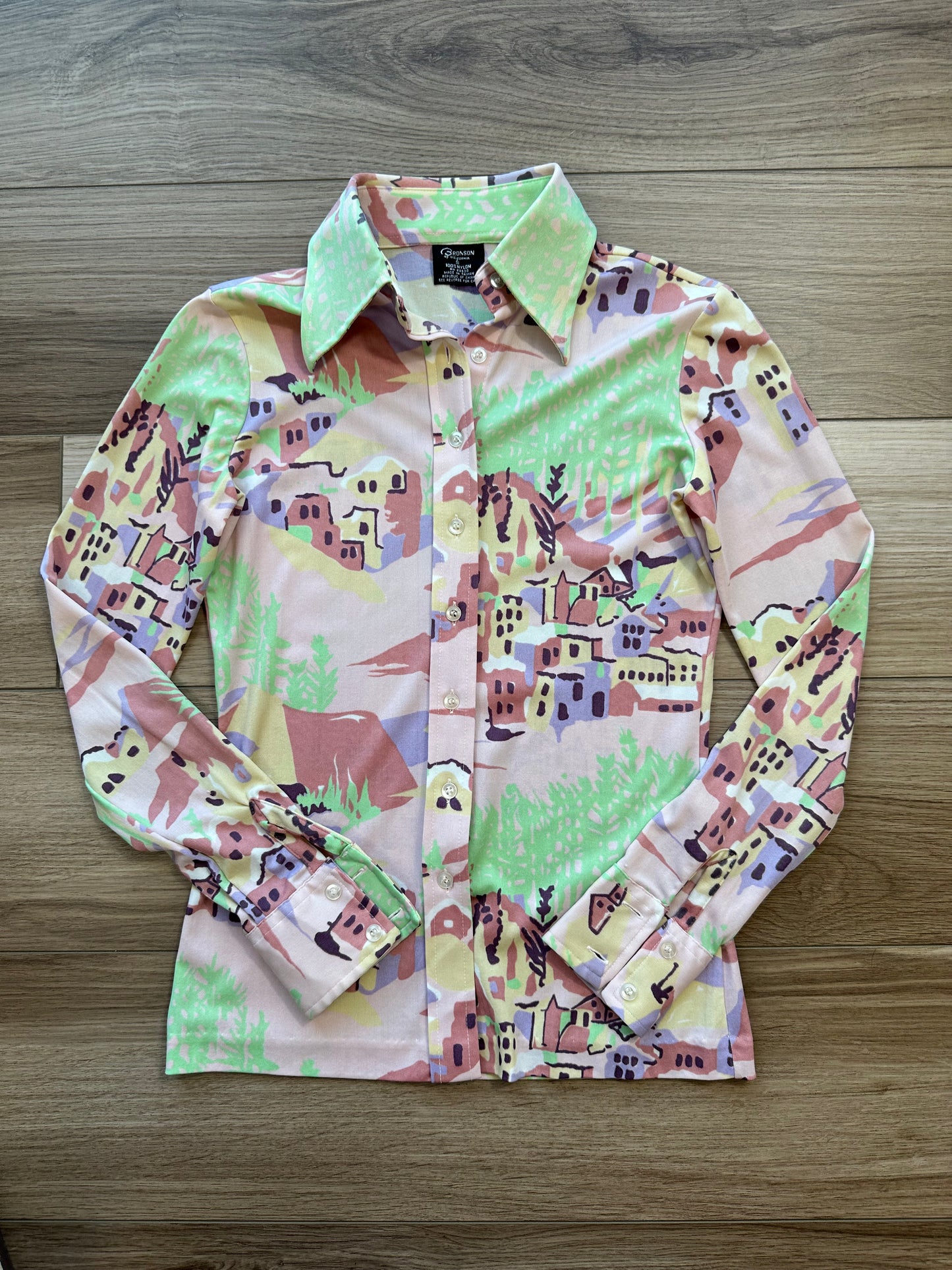1970's Vintage Pastel Novelty Print Button Down Dagger Top